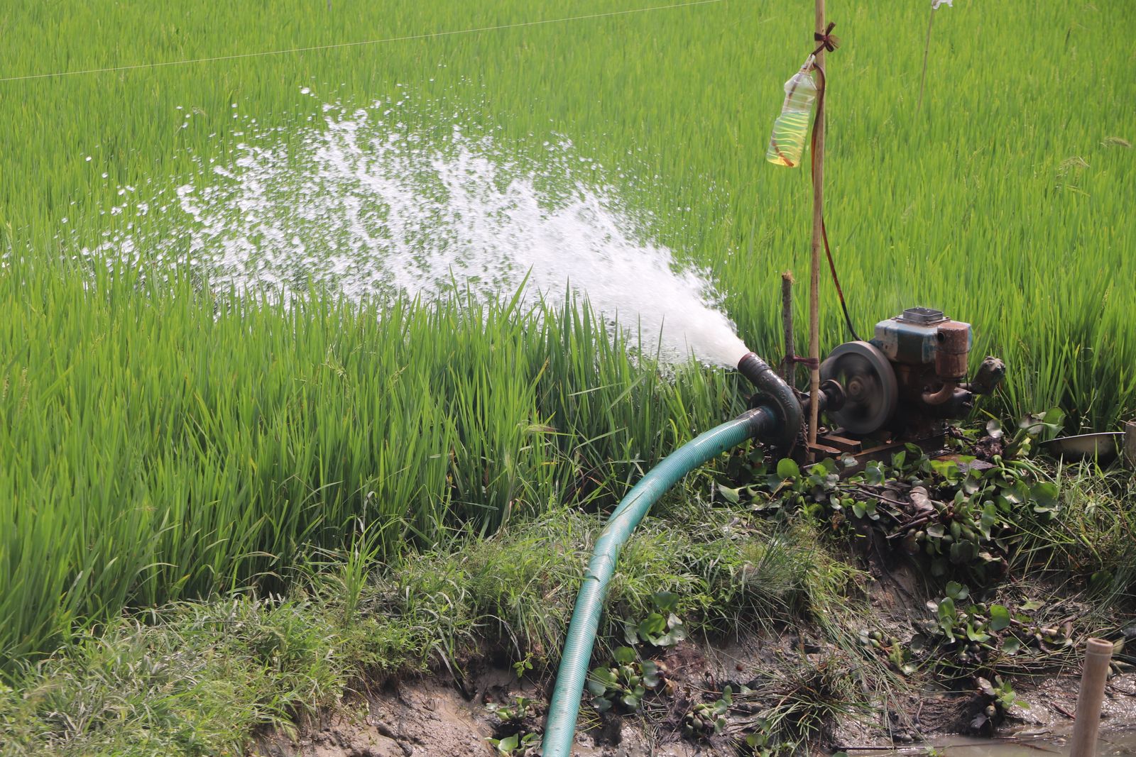 A pump sending water across a green field