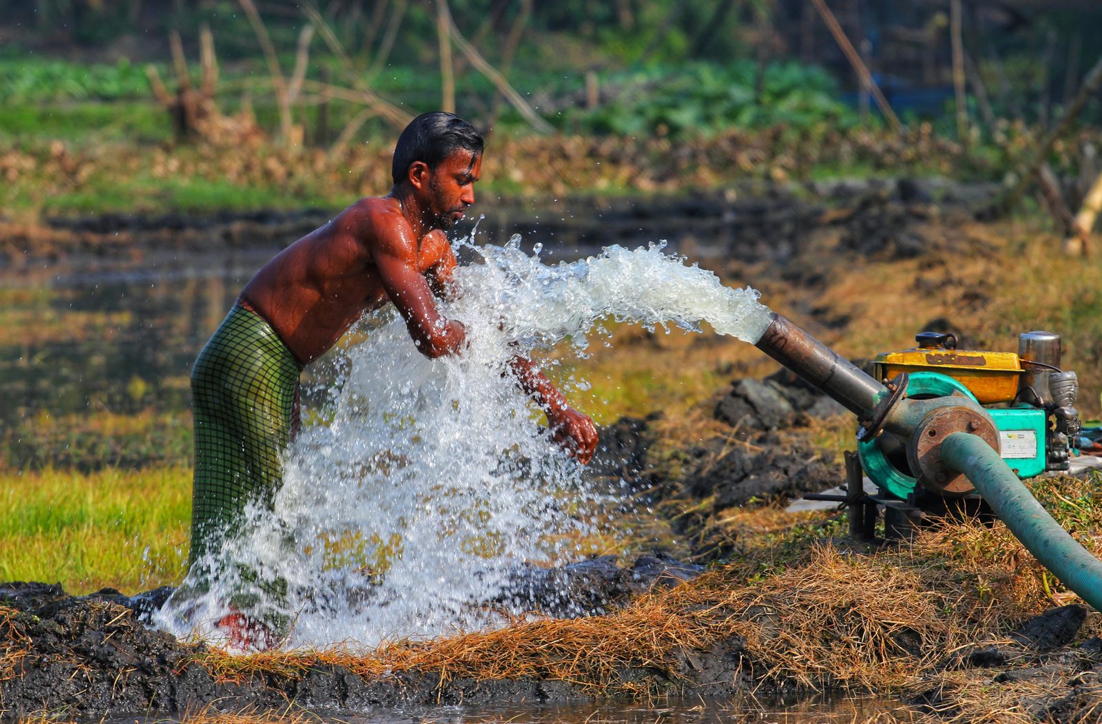 Water gushing from a newly installed pump